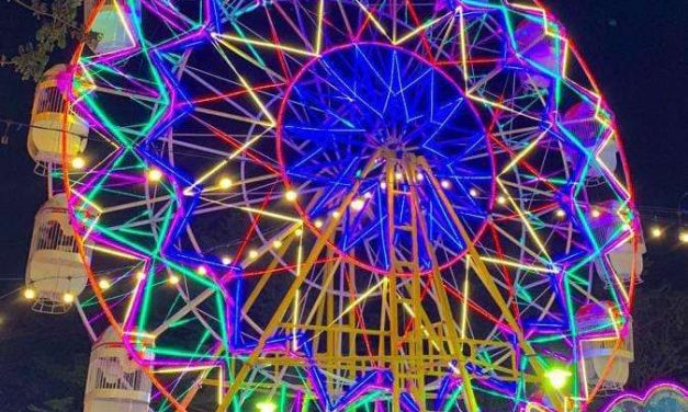 Hiburan Malam: Menyelami Trend Pasar Malam