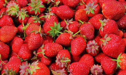 Manfaat Buah Beri Untuk Kesehatan, Yang Kaya Antosianin
