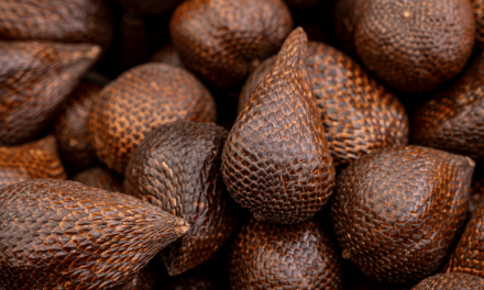 Tenggorokan Lagi Tak Enak? Pikir-Pikir Dulu Sebelum Makan Salak